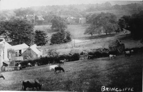 Brincliffe