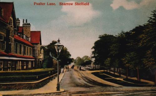 Psalter-Lane-Postcard-c1907