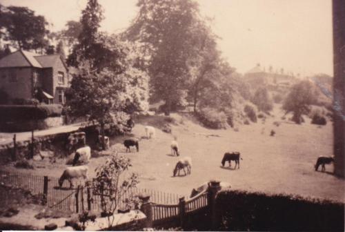 Top of Bannerdale Rd (near junction with Brincliffe Edge) c1950